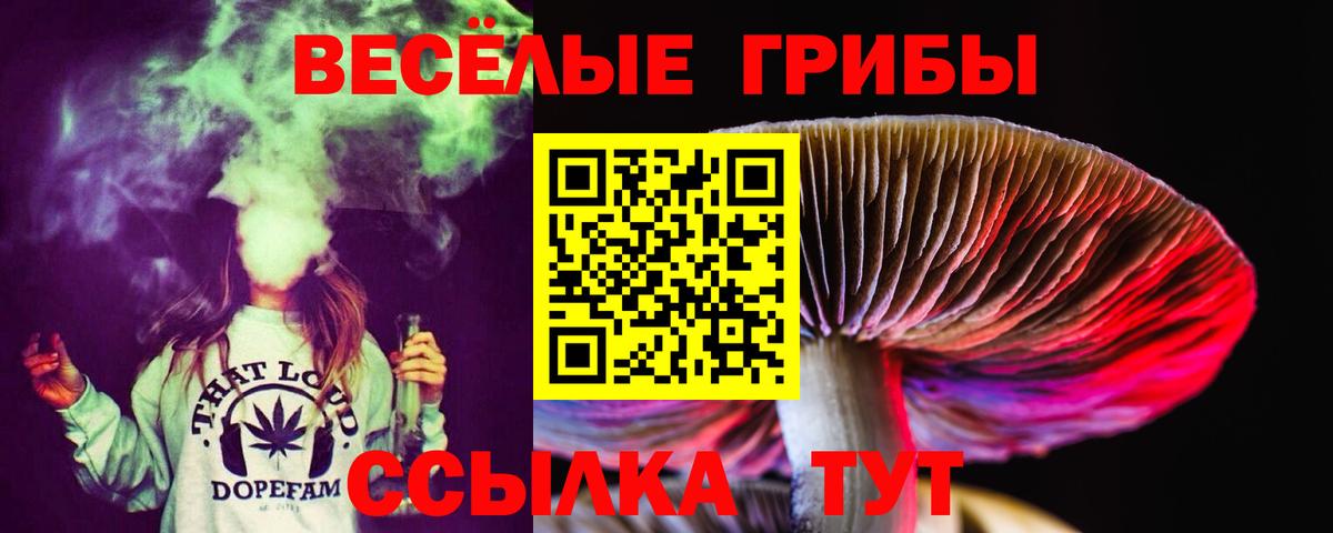 Псилоцибиновые грибы мухоморы Кинель